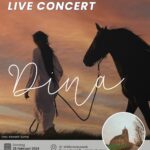 DINA Visual Live Concert in Haringhuizen
