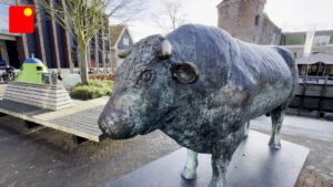 Kunst rondom de Markt in Schagen